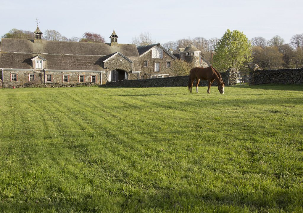 Facility – Glen Farm Stables